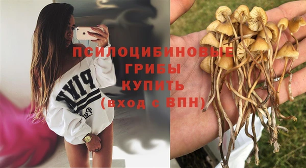 амфетамин Дмитров