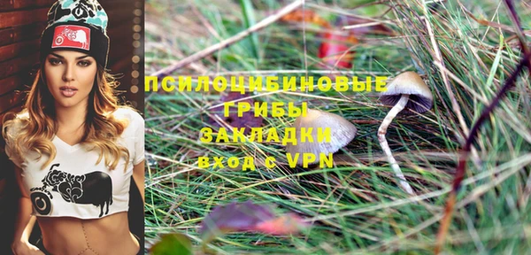 метадон Дмитриев